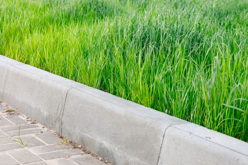 Curb Repair in Des Moines, IA